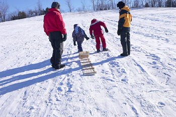 Family Toboganning in Winter Stock Pic